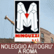 Minguzzi noleggio ed interventi con autogrù a Roma