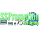 SS Promotion Web Agency