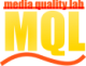 MQL Web Agency