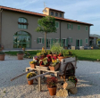 Agriturismo Fattoria L'Olmetto