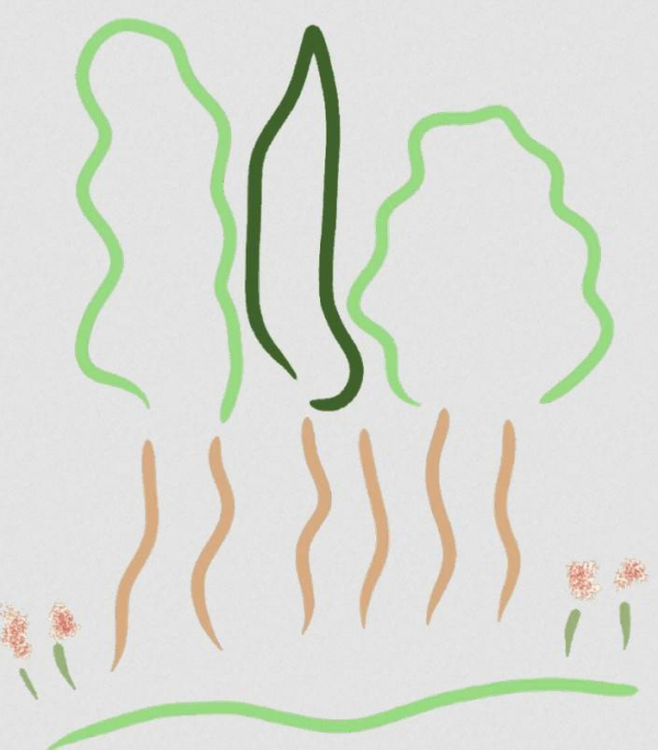 Immagine 2026-10-28 145502 Abbattimento Alberi alto fusto Firenze