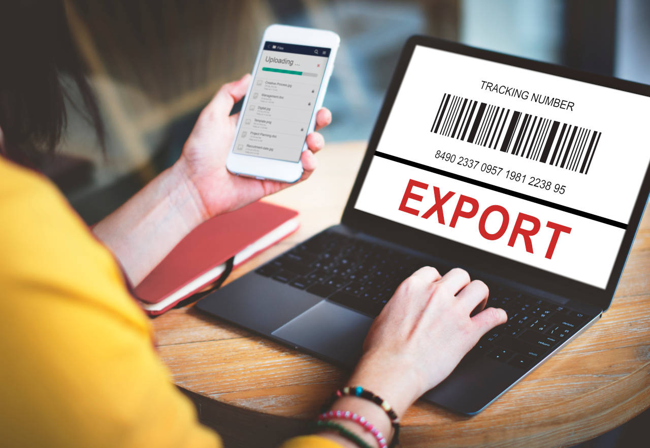 Import Export in Italia