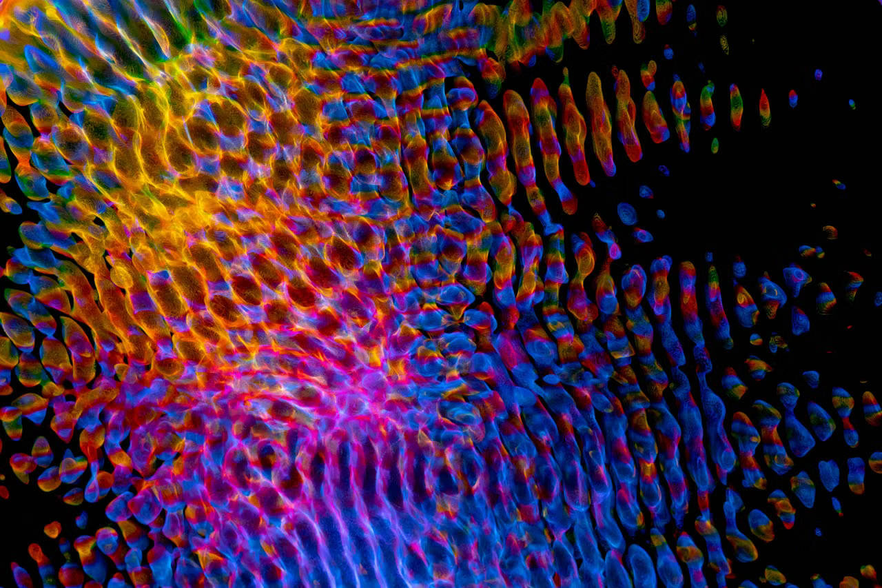 Arte digitale immersiva: installazione con luci e colori vibranti rappresentativa dei nuovi linguaggi dell'esperienza culturale nel 2026