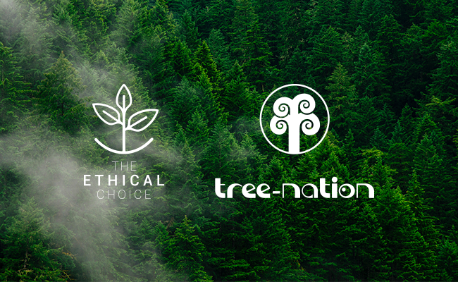 Tree-Nation, il social network per l’ambiente