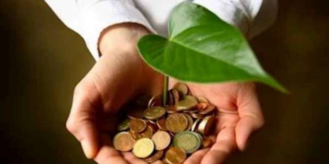 Il no profit dalle organizzazioni all’economia solidale