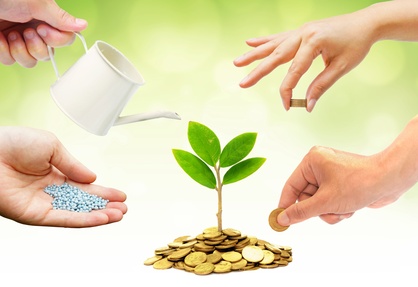 Gestione dell'economia solidale