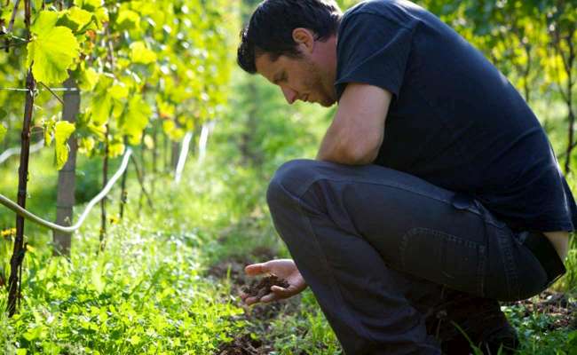 Professionisti periti: figure di responsabilità e competenza