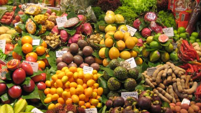 Mangiare sano per l'attività cerebrale