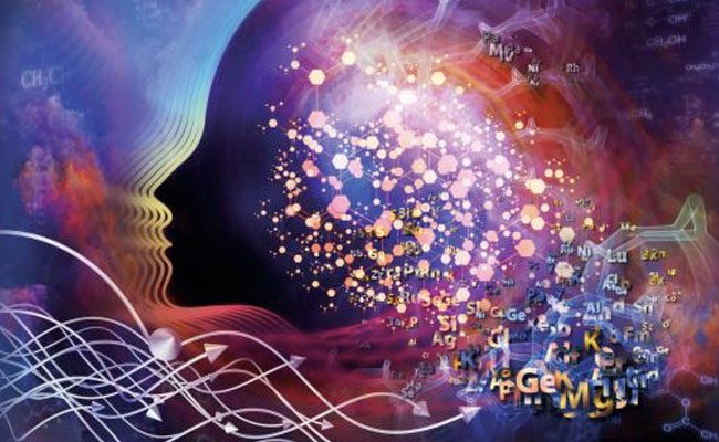 Fare di una passione una professione