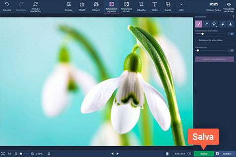 Movavi Photo Editor Salva